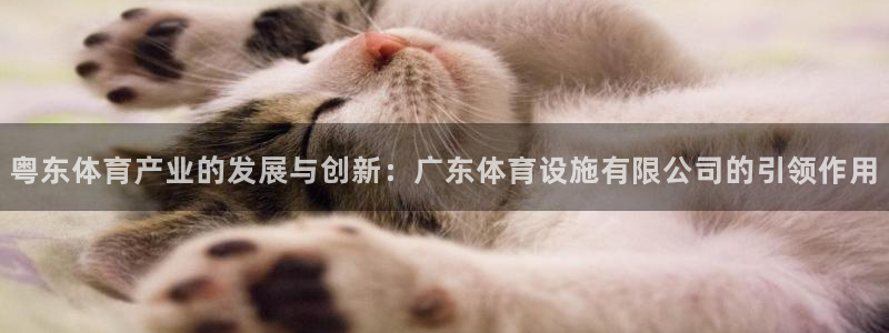 意昂4娱乐网站：粤东体育产业的发展与创新：广东体育设施有限公