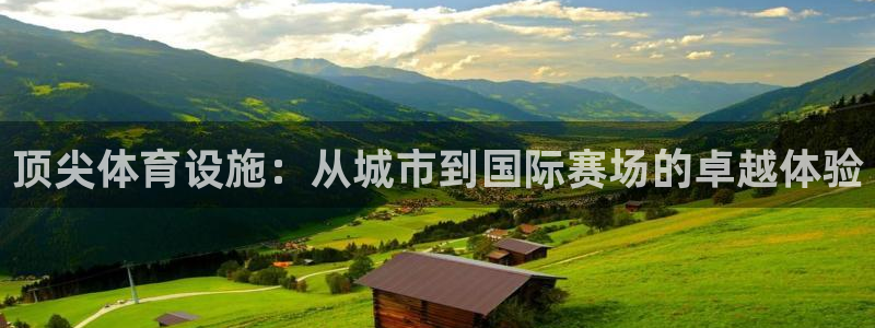 意昂4集团logo：顶尖体育设施：从城市到国际赛场的卓越体验 