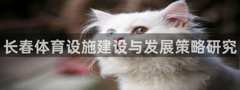 意昂体育4招商电话号码查询是多少：长春体育设施建设与发展策略