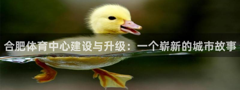 德国意昂4集团：合肥体育中心建设与升级：一个崭新的城市故事