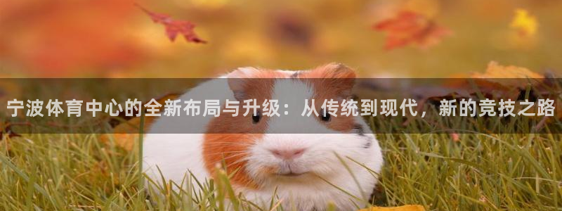 意昂4神州：宁波体育中心的全新布局与升级：从传统到现代，新的