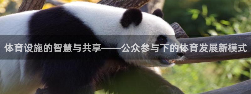 意昂体育4开户：体育设施的智慧与共享——公众参与下的体育发展