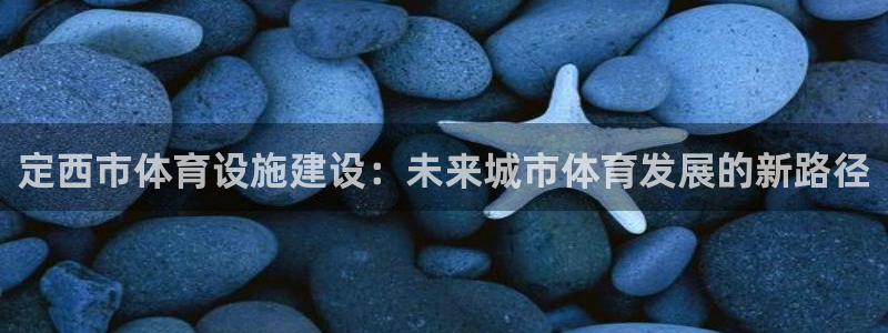 海南意昂体育4：定西市体育设施建设：未来城市体育发展的新路径