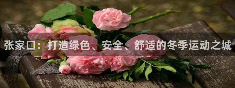 意昂体育4招商电话号码查询：张家口：打造绿色、安全、舒适的冬