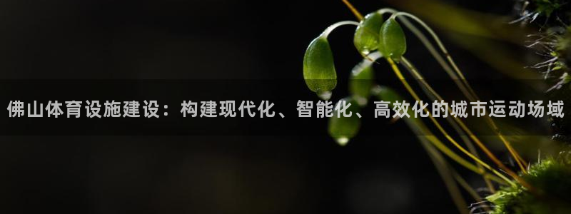 意昂体育4软件：佛山体育设施建设：构建现代化、智能化、高效化