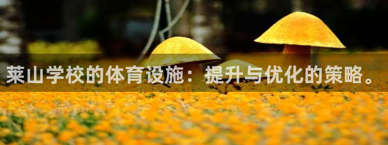 意昂集团官网：莱山学校的体育设施：提升与优化的策略。
